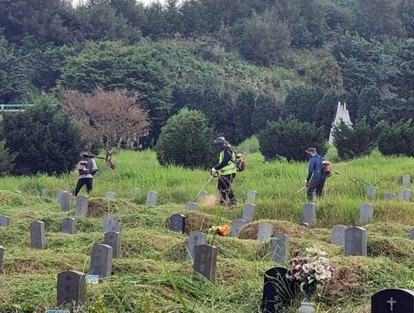 공설공원묘지 벌초작업