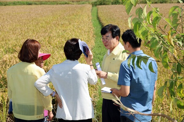 벼 깨씨무늬병 총력대응