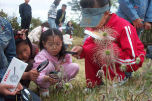 환경연합 야생화 기행 마치다