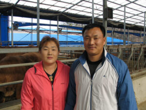 거세, 제한급여 등으로 1등급 한우 생산하는 김천환씨