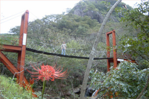 '암챙이 골짝'의 마지막 가을