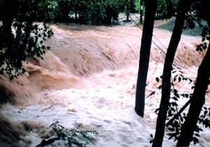 태풍 메기가 몰고온 폭우로 장흥지역이 피해가 급중했다