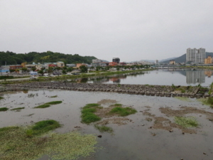 수자원 공사는 장흥댐 하류 수질을 책임져야 한다.