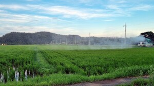 저탄소 인증 농산물 189ha 대폭 확대