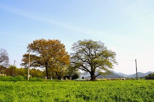 천연기념물 자연사자원 연구성과 특별전 개최