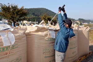 2025년산 공공비축미 수매